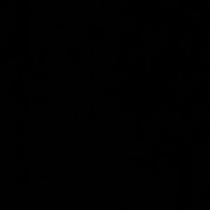 mai. (feat. SCARWEIZ)