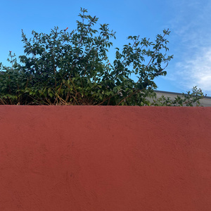 The White Sinner & The Black Saint