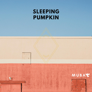Sleeping Pumpkin
