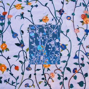 SOU VAQUEIRO E ME GARANTO