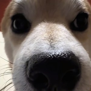 有害微生物Demo.mp3