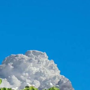 一人有一个梦想（我妈唱的粤语！）