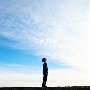 破茧向光