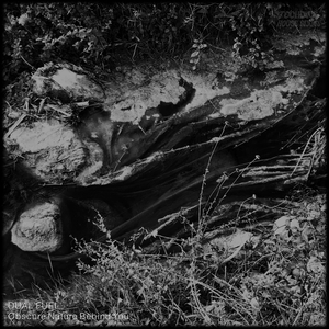 Analogicamente Speaking (Original Mix)