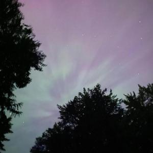 Bard's Dance (R080TMAN1AC Remix)