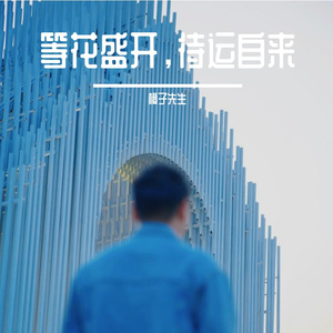 等花盛开，待运自来