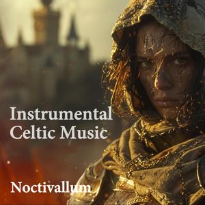 Stillness Beneath the Moonless Sky