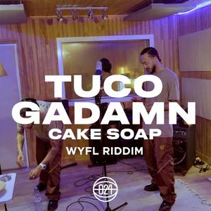 Cake Soap