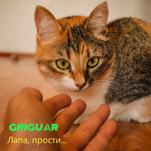 Лапа, прости