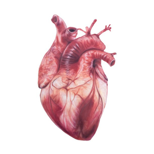 頭の中お大事に