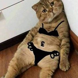 White Lies (sped up)