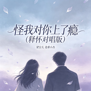 怪我对你上了瘾(释怀对唱版)