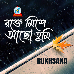 Rokte Mishe Achho Tumi