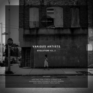 Raven (Original Mix)