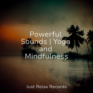 Buzzy Melody Meditations