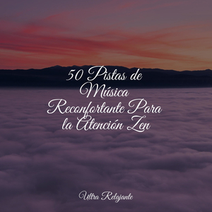 Anochecer En La Distancia