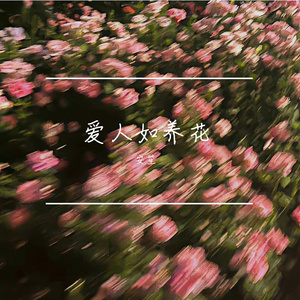 爱人如养花