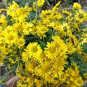 光阴滤镜下的真心