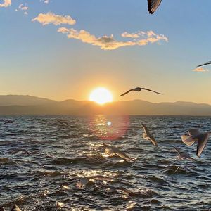 拉个勾说永远爱我 0.8