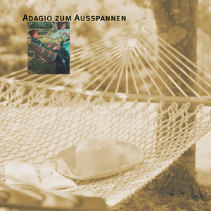 Violin Sonata No. 3 in D Minor, Op. 108:II. Adagio