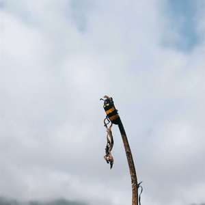 加勒比海盗（翻自 Klaus Badelt）