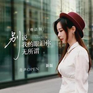 别说我的眼泪你无所谓 (DJ版)
