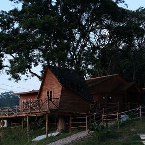 那是我第一次看见海洋 伴奏