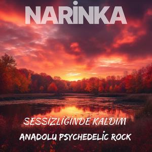 Sessizliğinde Kaldım
