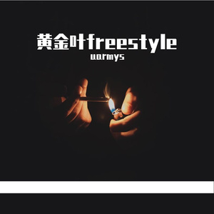 黄金叶freestyle(街头招式beat2)