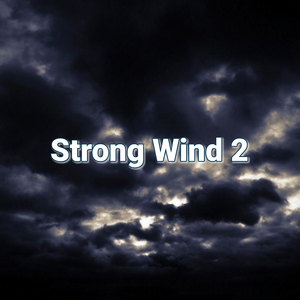 Strong Wind 2