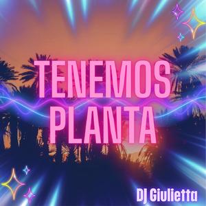 Tenemos planta