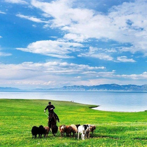 九寨的姑娘谁最好