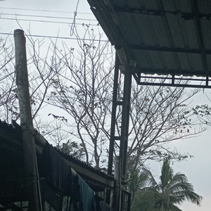 Bintamg malam (Remix)