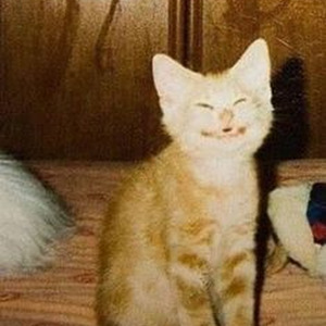 ecoute cherie - Slowed