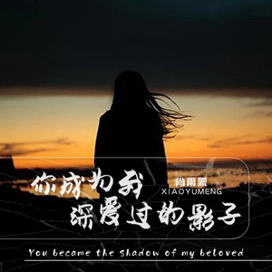 你成为我深爱过的影子