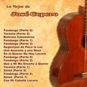 Una Azucena y una Rosa