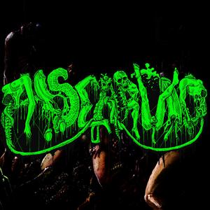 Chocha Podrida Con Hemorragia