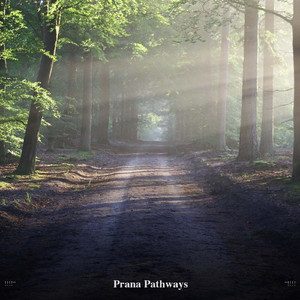 Sound Bath Meditation