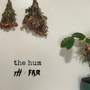 The Hum (feat. Fern and Rocket)