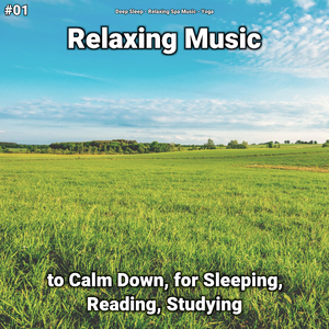 Relaxing Music, Pt. 16