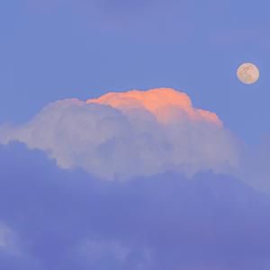 关于一些不让人删歌的事