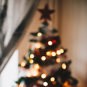 Berry Merry Christmas