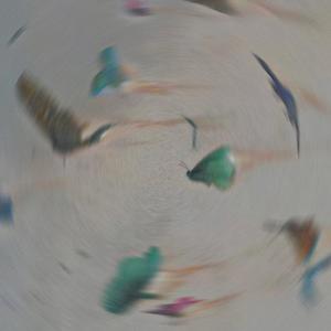 梦魇pt1.pord evomusic