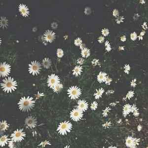 意义（prod by Red killer）