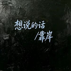 想说的话