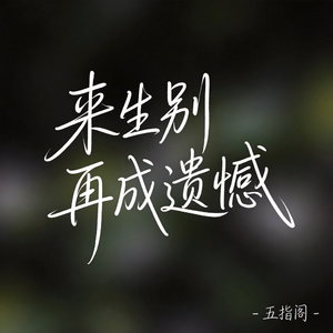 来生别再成遗憾（抖音热播版）