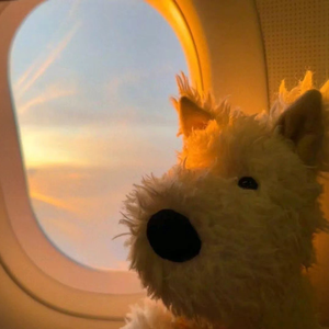 [FREE]''childhood''-Guitar Pop Type Beat