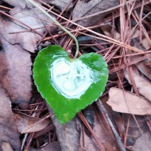 《心动的信号》词曲唱赵鑫