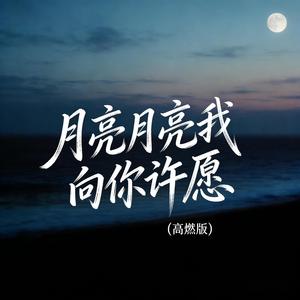 月亮月亮我向你许愿 (高燃版)