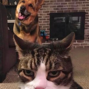 Club Banger Type Beat ''Risen''